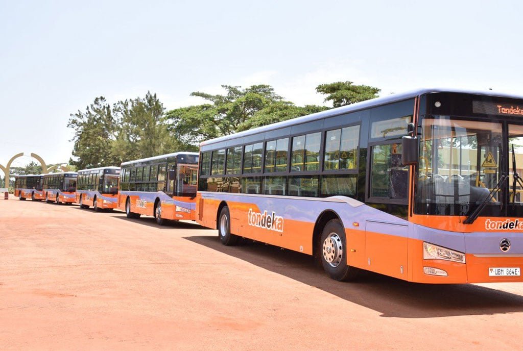 bussiness opportunities