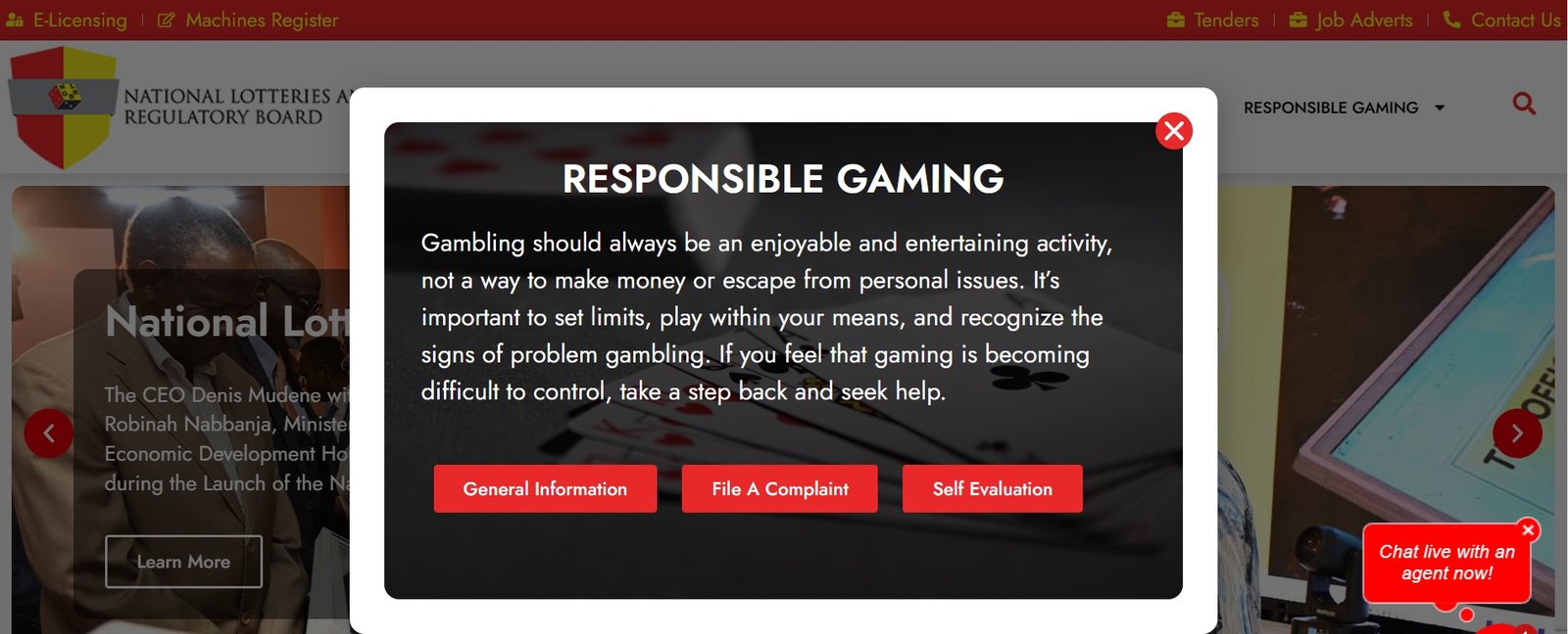 RESPONSIBLE GAMING