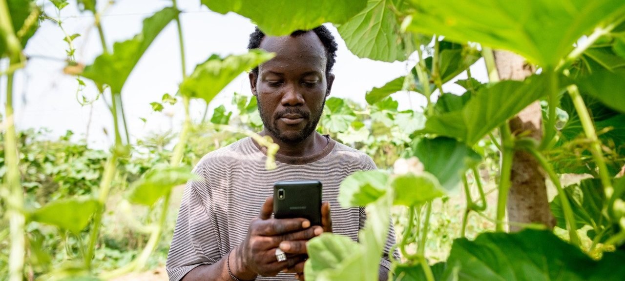 smallholder