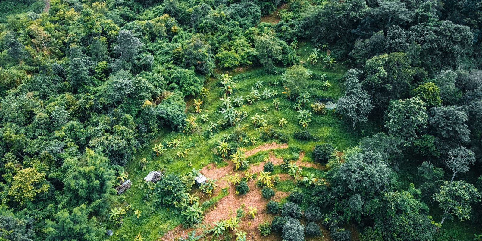 Organic farming