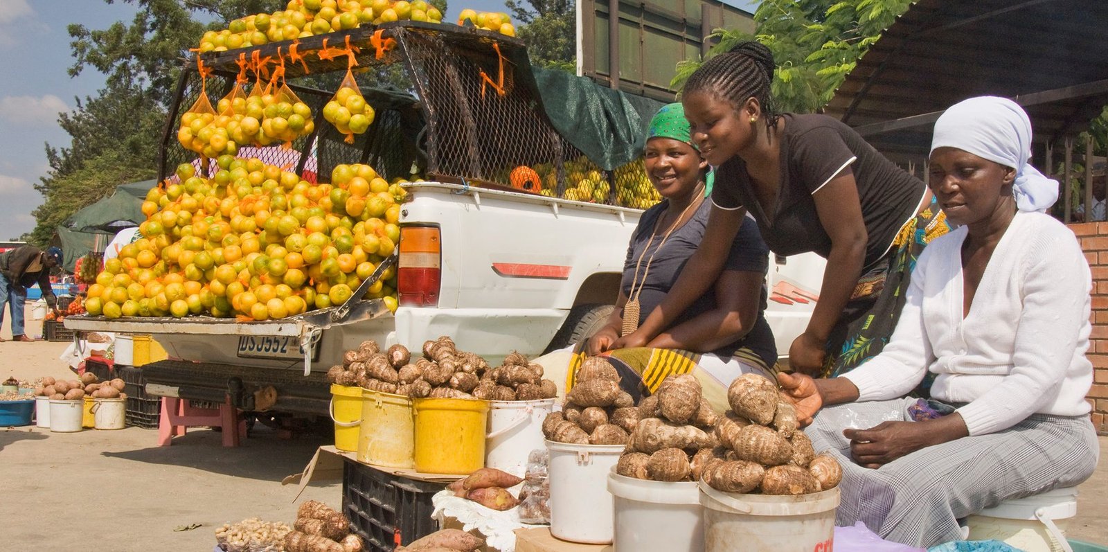 Trade Surplus