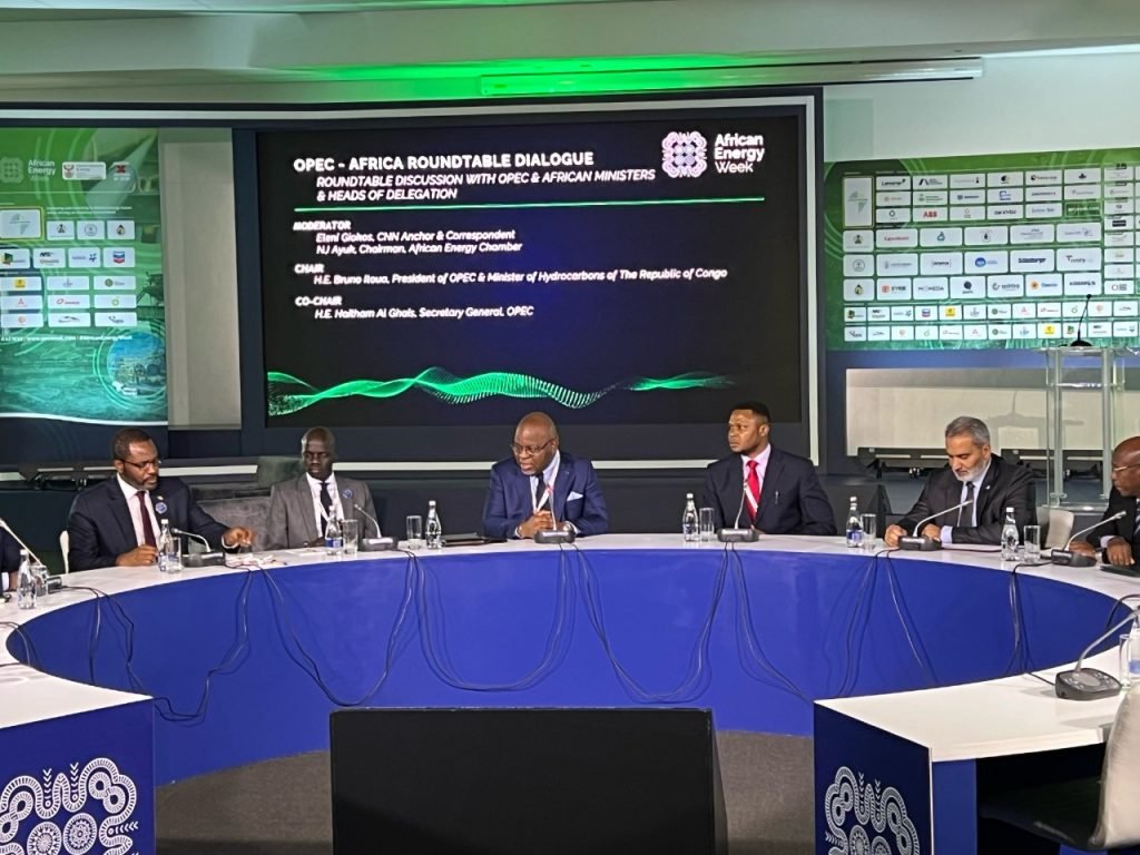 African energy week