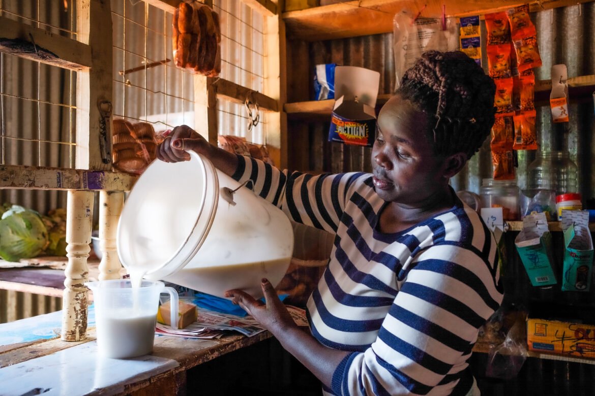 Image 4 A woman pours fresh milk into a container as part of daily dairy collection under East Africa’s climate-resilient dairy systems initiative.